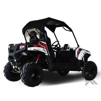 TrailMaster Challenger 300E EFI UTV Side By Side Kryptex Golf Carts