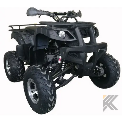 Warrior 200 Adult Quad ATV Kryptex Golf Carts