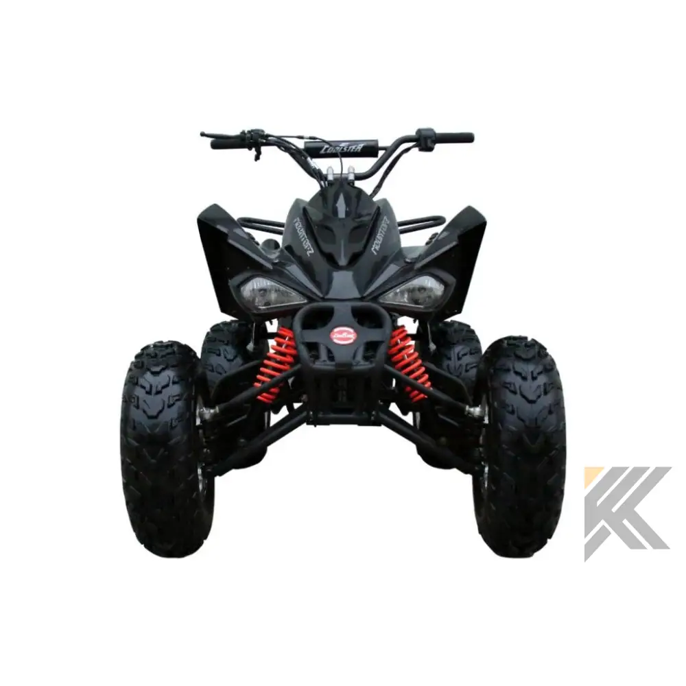 Coolster Reaction 200-S Adult Quad ATV Kryptex Golf Carts