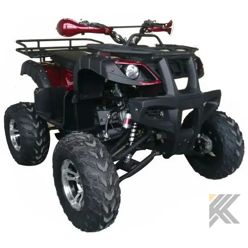 Warrior 200 Adult Quad ATV Kryptex Golf Carts