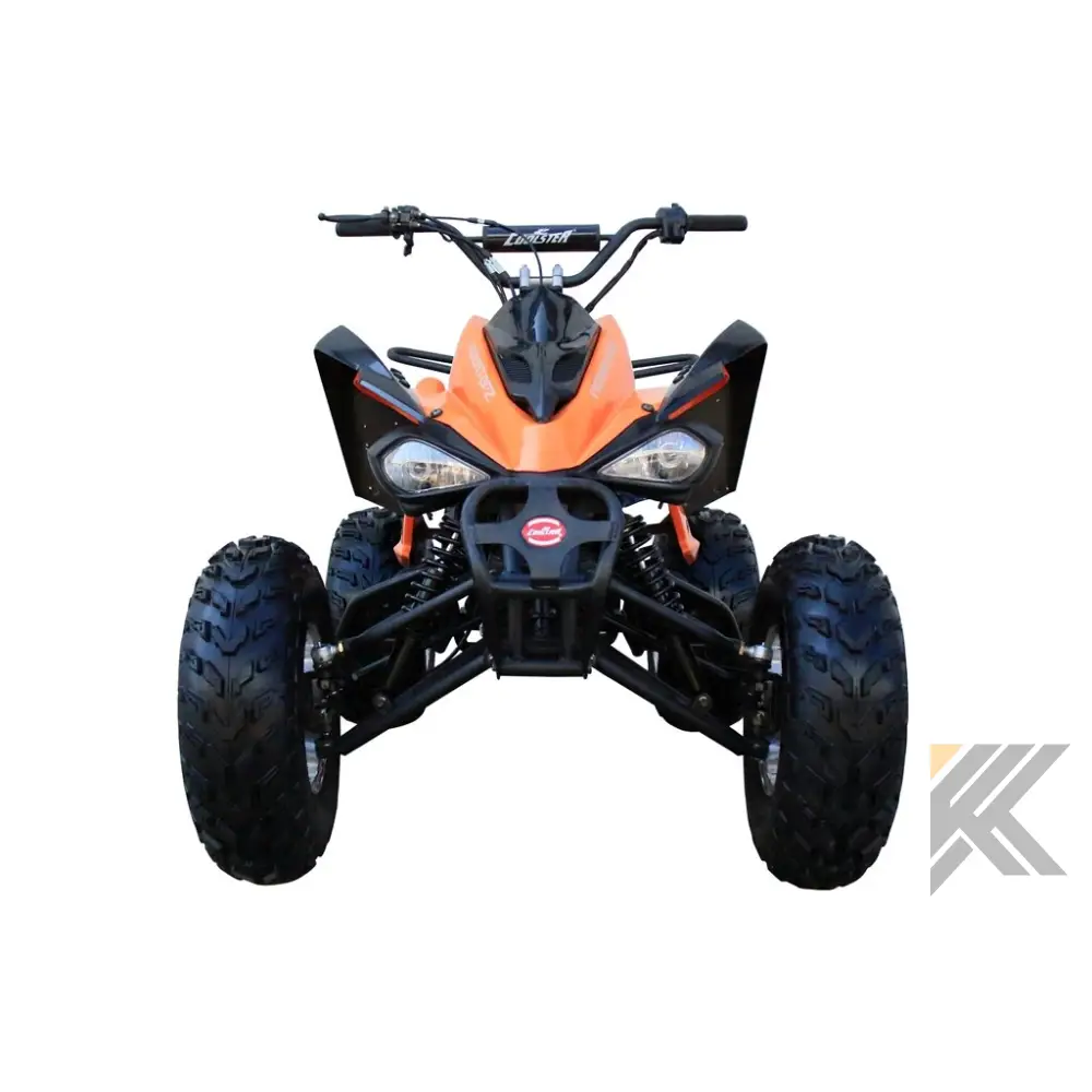 Coolster Reaction 200-S Adult Quad ATV Kryptex Golf Carts