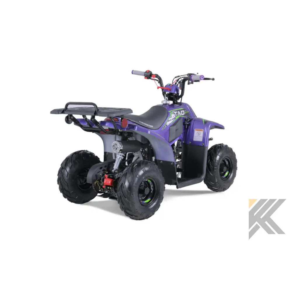 Tao Tao Rock 110 Children's ATV, 4-Stroke 110cc Kryptex Golf Carts