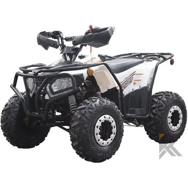 Dongfang Grizzly 200 ATS Youth ATV Kryptex Golf Carts
