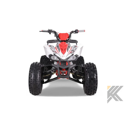 Tao Tao Cheetah Platinum Children's ATV, 4-Stroke 125cc Kryptex Golf Carts