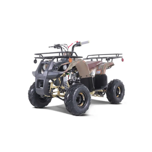 Tao Tao D125 Children's ATV, 4-Stroke 125cc Kryptex Golf Carts