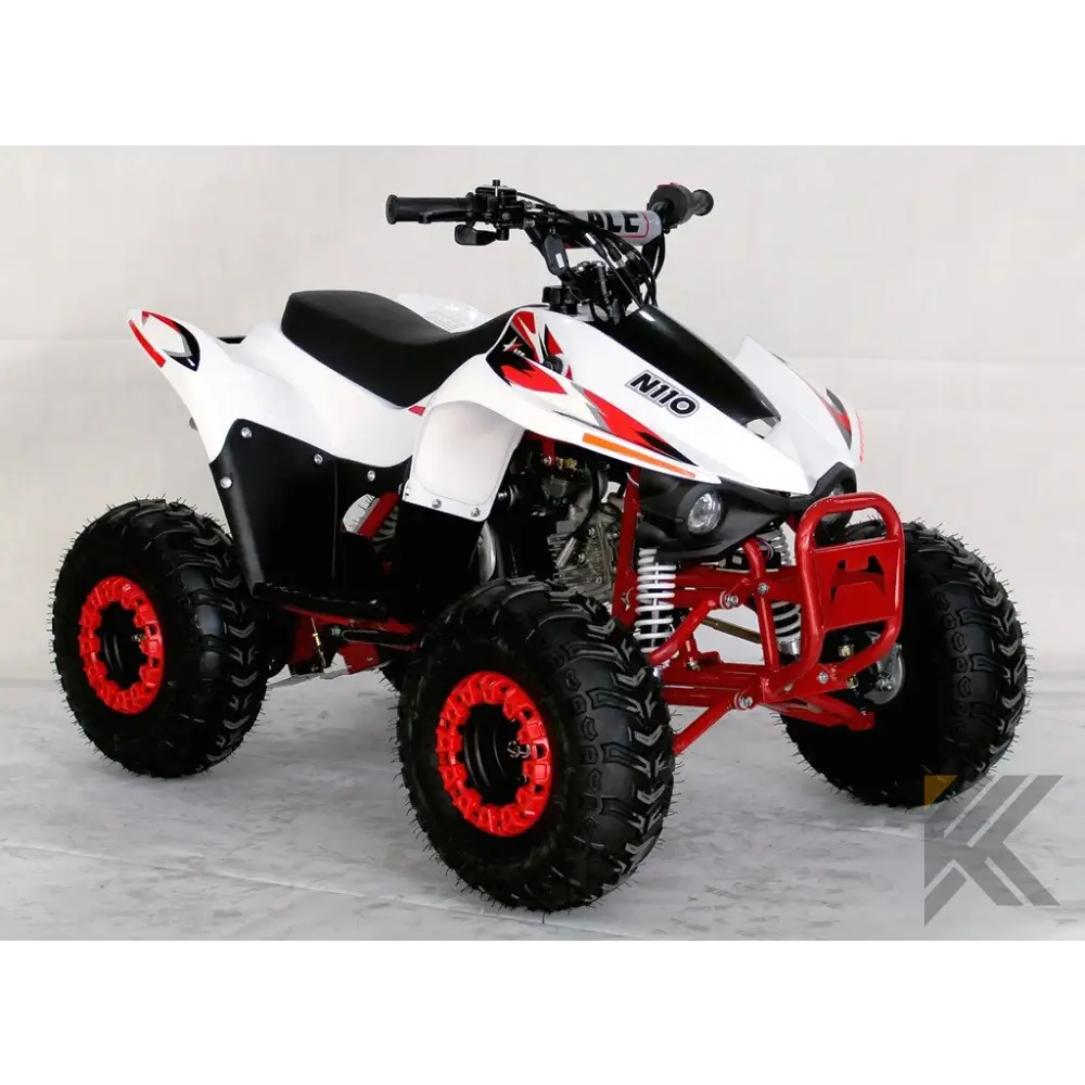 ACE N110 Children's ATV, 4-Stroke 110cc Kryptex Golf Carts