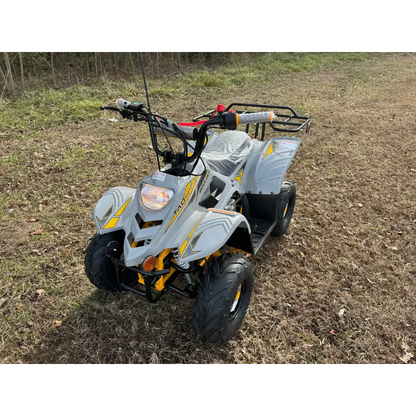 Tao Tao Boulder 110 Children's ATV, 4-Stroke 110cc Kryptex Golf Carts