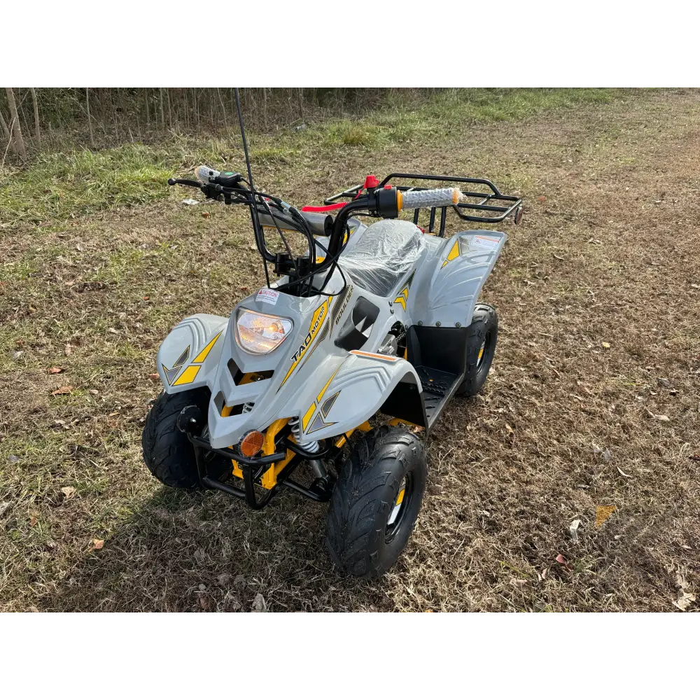 Tao Tao Boulder 110 Children's ATV, 4-Stroke 110cc Kryptex Golf Carts