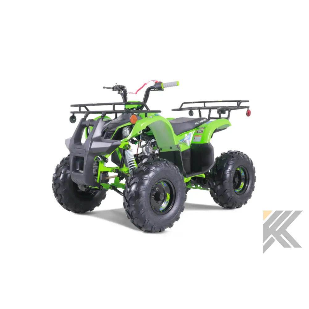 Tao Tao T125 Children's ATV, 4-Stroke 125cc Kryptex Golf Carts