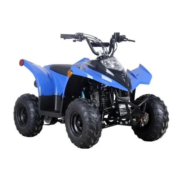 RACER 110 Children's ATV-6", 4-Stroke 110cc Kryptex Golf Carts