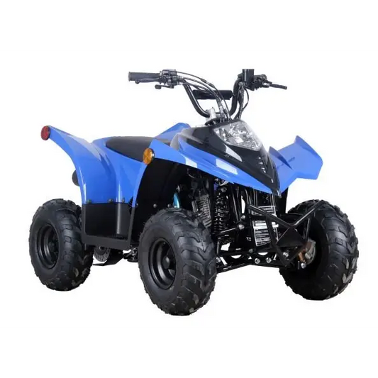 RACER 110 Children's ATV-6", 4-Stroke 110cc Kryptex Golf Carts