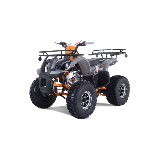 Tao Tao T-Force Platinum 125 Children's ATV, 4-Stroke 125cc Kryptex Golf Carts
