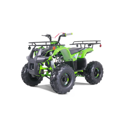 Tao Tao T125 Children's ATV, 4-Stroke 125cc Kryptex Golf Carts