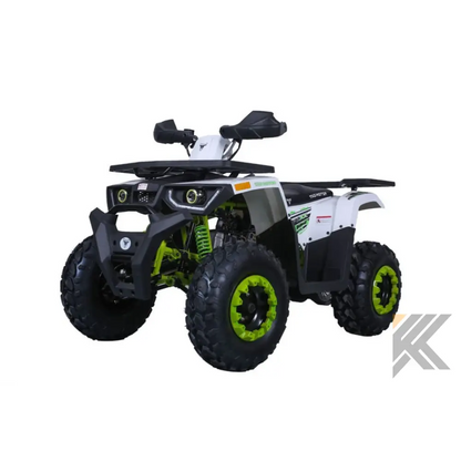 Tao Tao Raptor 200G Adult ATV Kryptex Golf Carts