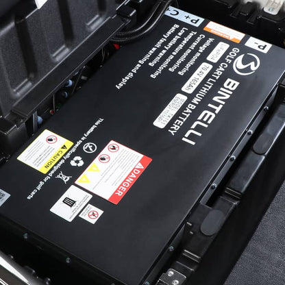 2026 Bintelli Nexus Lifted 4 Passenger in Mint