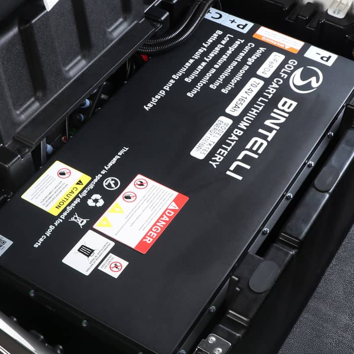 2026 Bintelli Nexus 4 Passenger in Mint