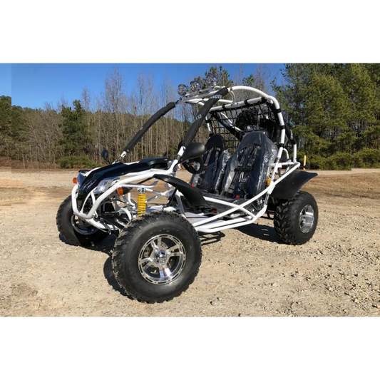 Dongfang Falcon Adult Go-Kart Buggy DF200GKA, Big Bore 200 PowerStroke Kryptex Golf Carts