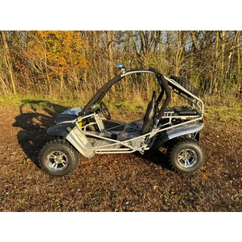 Dongfang Raptor Adult Go-Kart Buggy DF200GKR, Big Bore 200 PowerStroke Kryptex Golf Carts