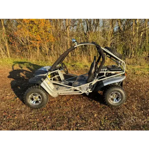 Dongfang Raptor Adult Go-Kart Buggy DF200GKR, Big Bore 200 PowerStroke Kryptex Golf Carts