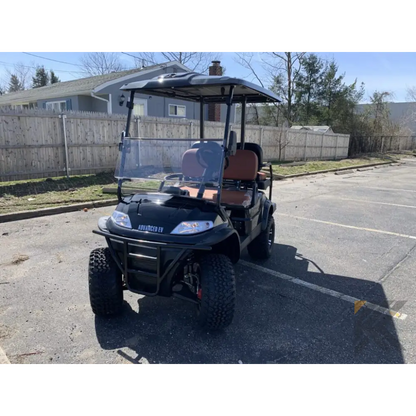2023 Advanced EV 4L - Black Kryptex Golf Carts