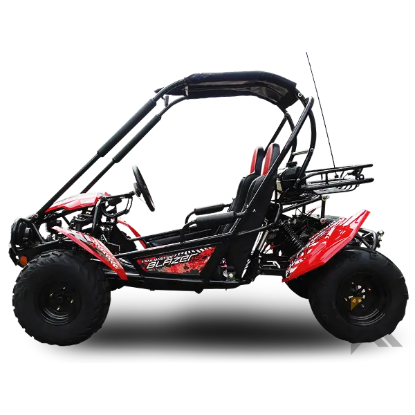 Trailmaster Blazer 200 Adult Go-Kart Buggy Kryptex Golf Carts
