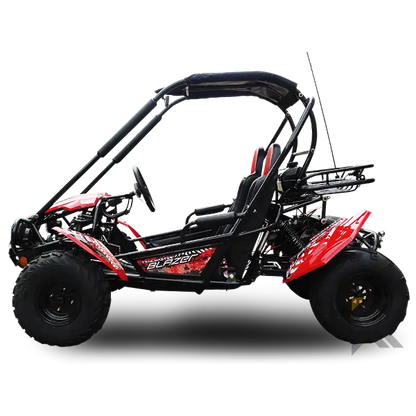 Trailmaster Blazer 200 Adult Go-Kart Buggy Kryptex Golf Carts