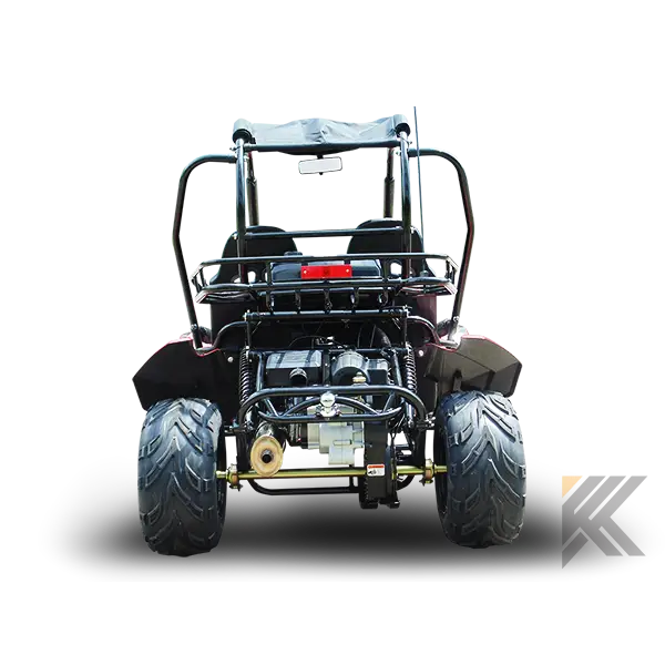 Trailmaster Blazer 200 Adult Go-Kart Buggy Kryptex Golf Carts