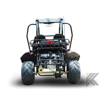 Trailmaster Blazer 200 Adult Go-Kart Buggy Kryptex Golf Carts