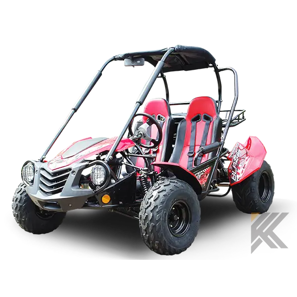 Trailmaster Blazer 200 Adult Go-Kart Buggy Kryptex Golf Carts