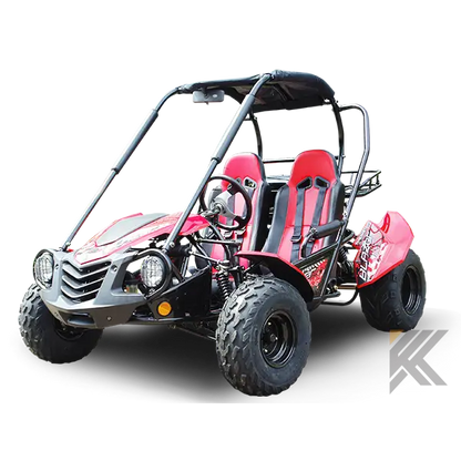 Trailmaster Blazer 200 Adult Go-Kart Buggy Kryptex Golf Carts