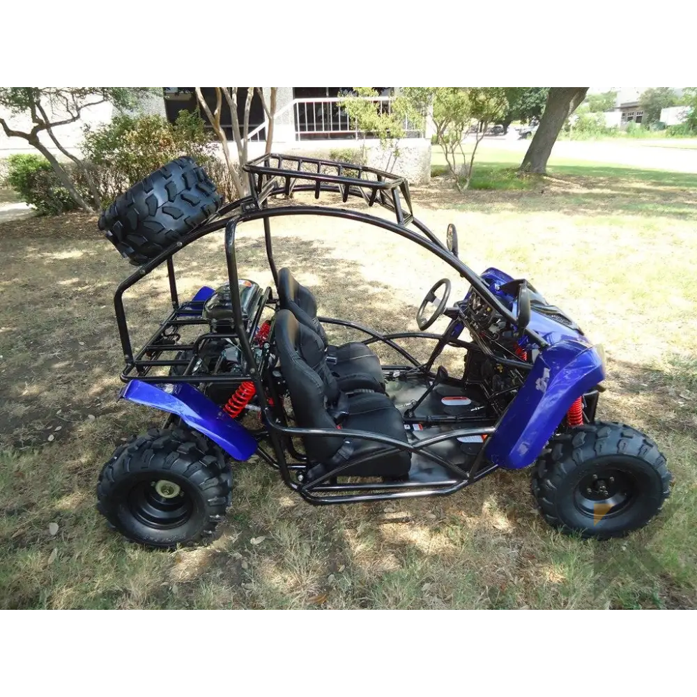 TER-R 125 Children's Go-Kart Buggy, 125cc 4 Stroke Kryptex Golf Carts
