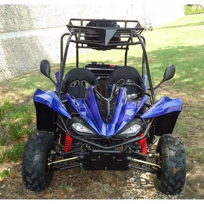 TER-R 125 Children's Go-Kart Buggy, 125cc 4 Stroke Kryptex Golf Carts