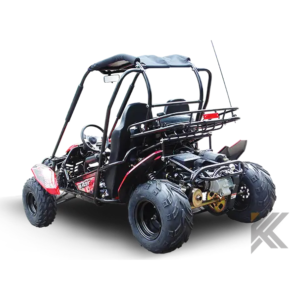 Trailmaster Blazer 200 Adult Go-Kart Buggy Kryptex Golf Carts