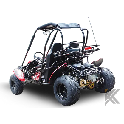 Trailmaster Blazer 200 Adult Go-Kart Buggy Kryptex Golf Carts