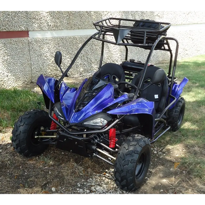 TER-R 125 Children's Go-Kart Buggy, 125cc 4 Stroke Kryptex Golf Carts
