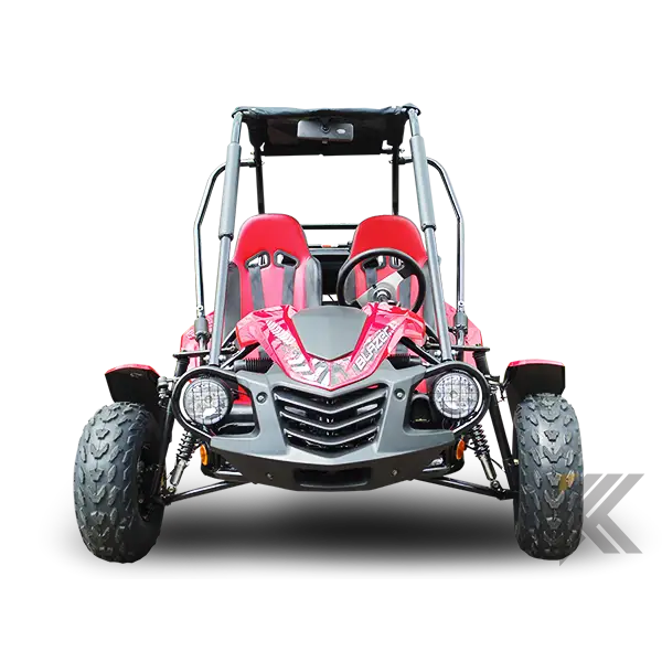Trailmaster Blazer 200 Adult Go-Kart Buggy Kryptex Golf Carts