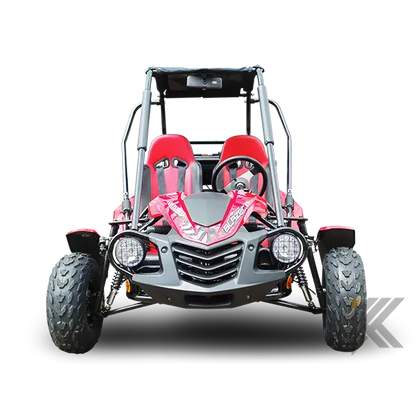 Trailmaster Blazer 200 Adult Go-Kart Buggy Kryptex Golf Carts