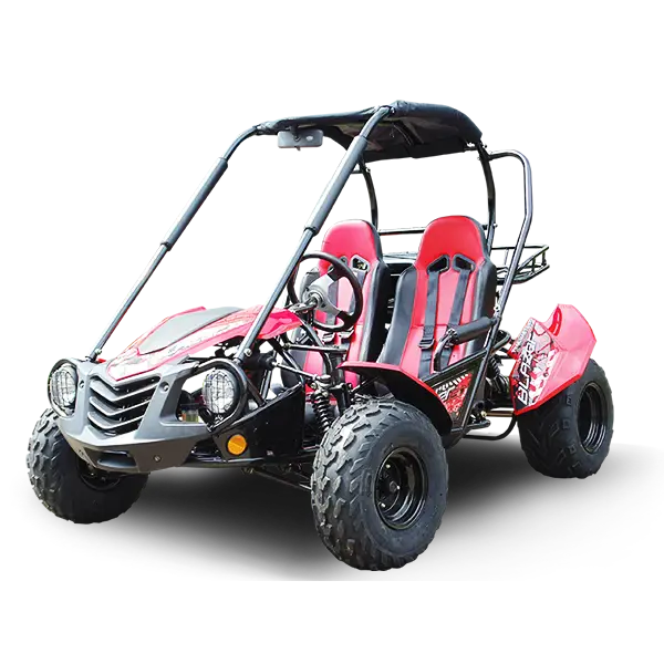 Trailmaster Blazer 200 Adult Go-Kart Buggy Kryptex Golf Carts