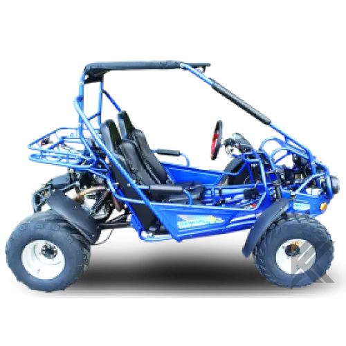 Trailmaster 300 XRS EFI Adult Go-Kart Buggy Kryptex Golf Carts