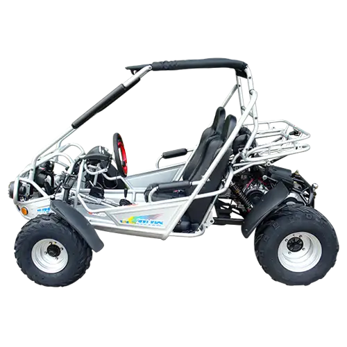 Trailmaster 300 XRS EFI Adult Go-Kart Buggy Kryptex Golf Carts