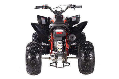Pentora 200 EFI Sport Adult ATV