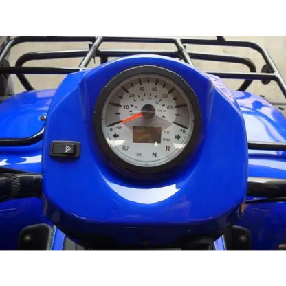 Rancher 250GX Utility Full Size ATV Kryptex Golf Carts