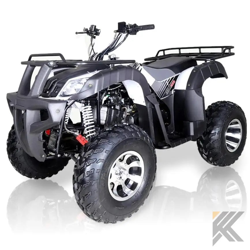TaoMotor Bull 200 ATV Kryptex Golf Carts