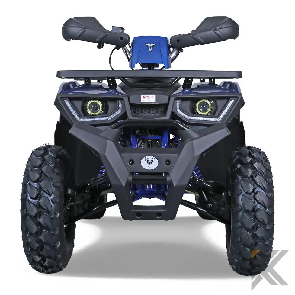 TaoMotor G200cc Fully Loaded ATV Kryptex Golf Carts