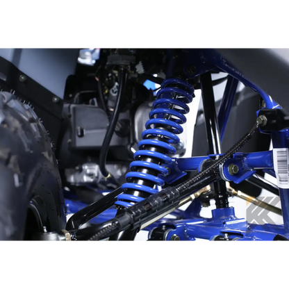 TaoMotor G200cc Fully Loaded ATV Kryptex Golf Carts