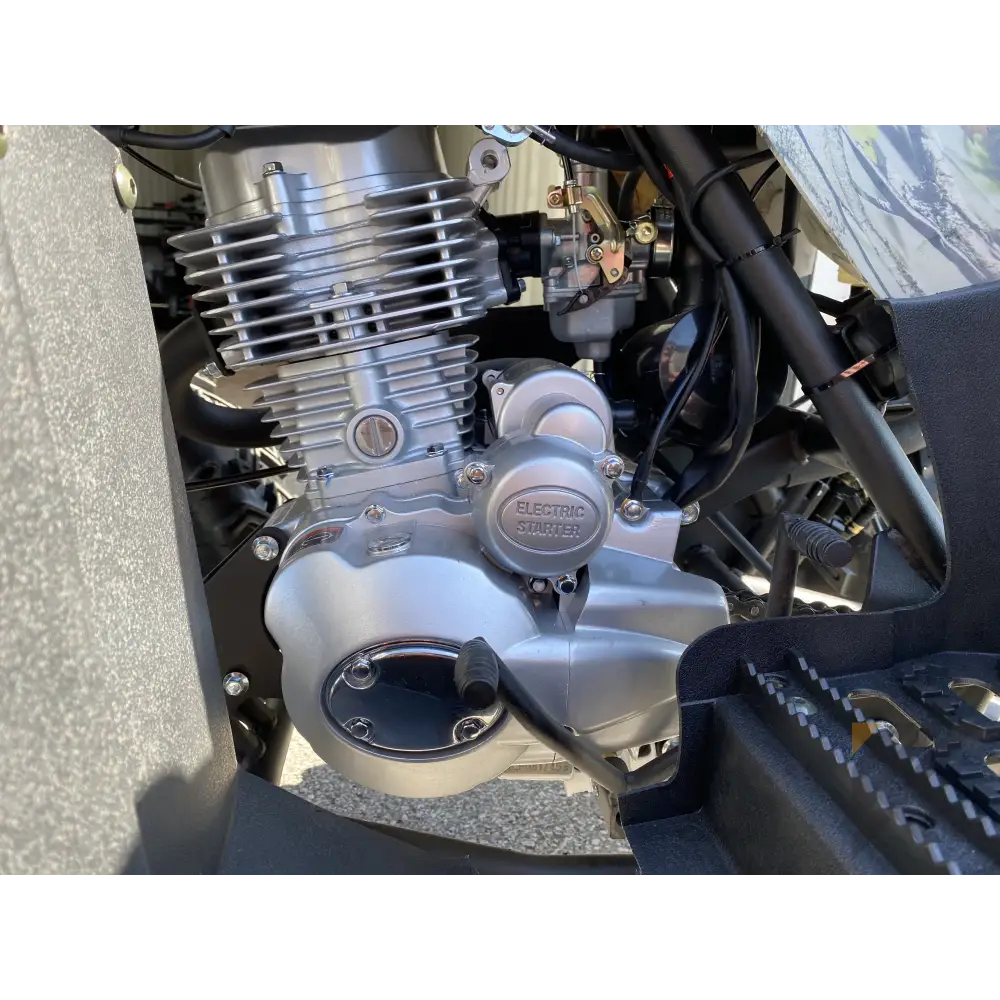 TaoMotor Rhino 250 ATV Kryptex Golf Carts