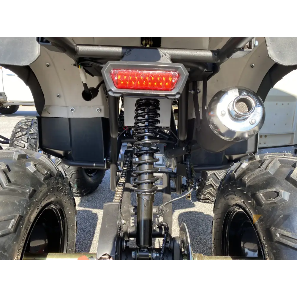 TaoMotor Rhino 250 ATV Kryptex Golf Carts