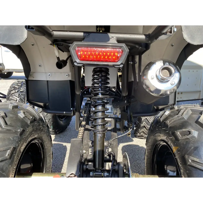 TaoMotor Rhino 250 ATV Kryptex Golf Carts