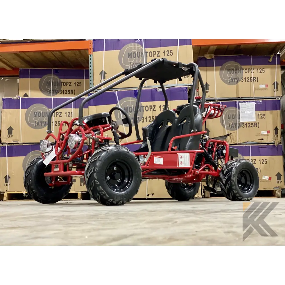 TaoMotor 107cc Kids Go Kart Kryptex Golf Carts