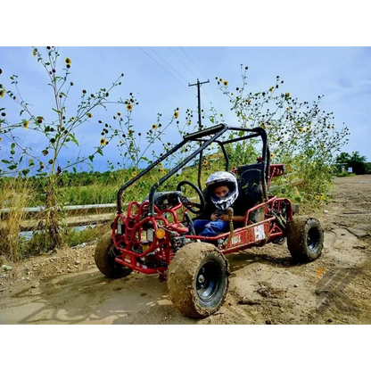 TaoMotor 107cc Kids Go Kart Kryptex Golf Carts